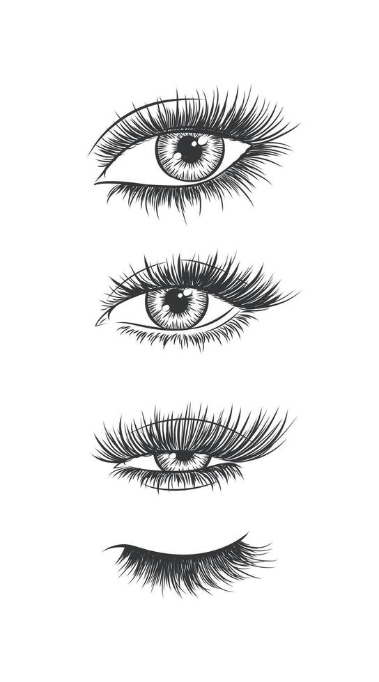 Eyes and eyelash collection drawing in graphic art style on white background vector