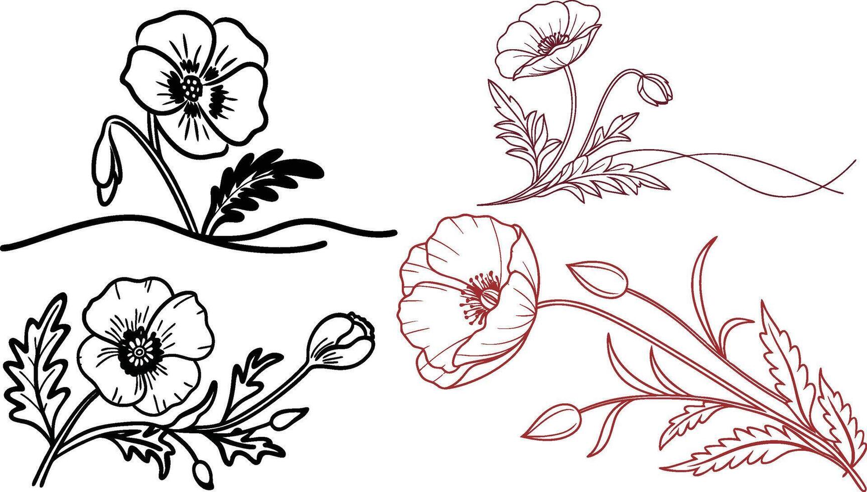Set of Black and White flowers Illustrations Floral Line Art vector