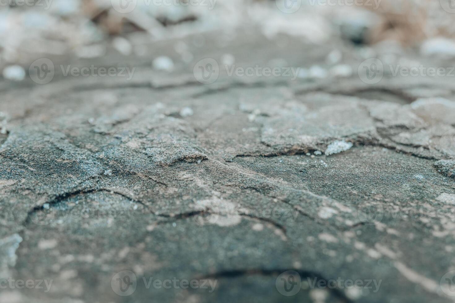 Detailed texture of weathered rock surface with natural patterns and minerals visible in a rustic outdoor setting photo