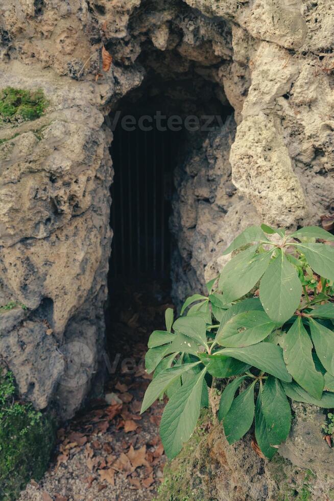 Dark entrance to a rocky cave surrounded by greenery at a natural site photo