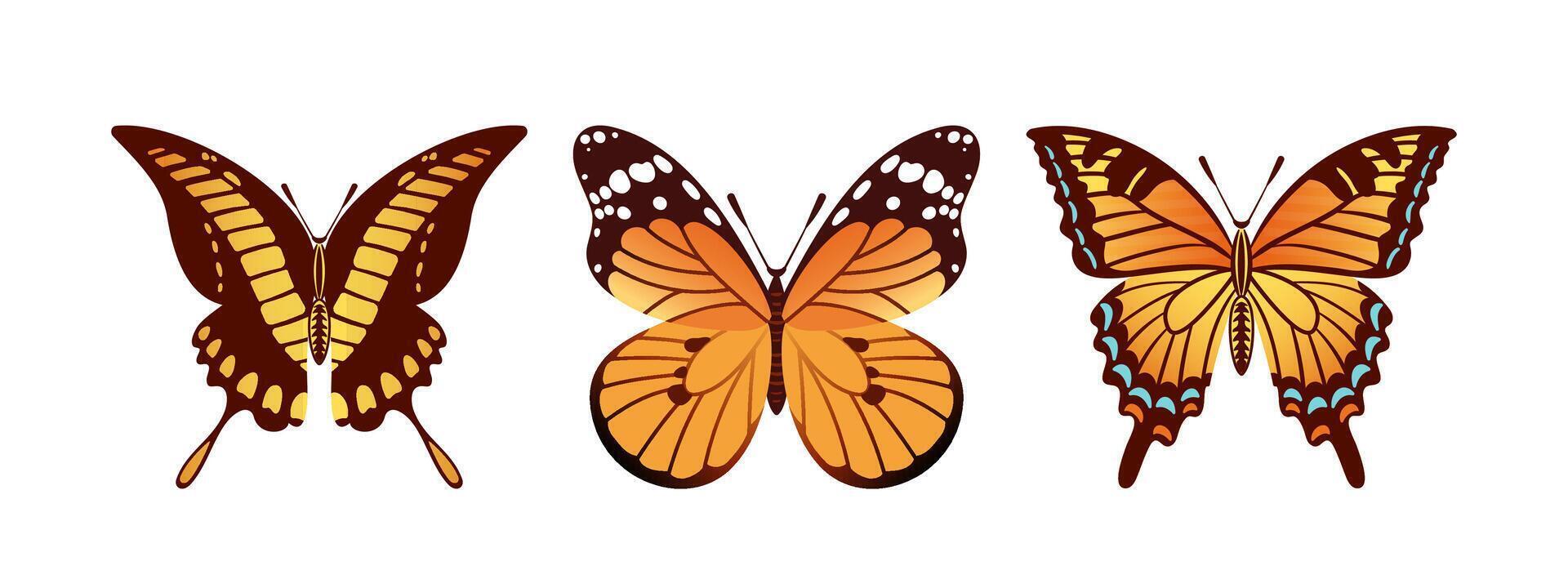 illustration features a stunning trio of butterflies the Swallowtail, Papilio thoas, and Danaus plexippus. Each butterfly showcases vibrant colors, perfect for nature themed designs. vector