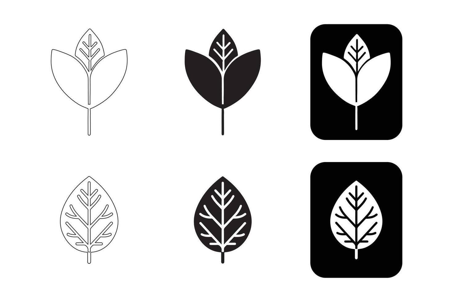 Set of Simple Leaf Icons in Black and White. vector