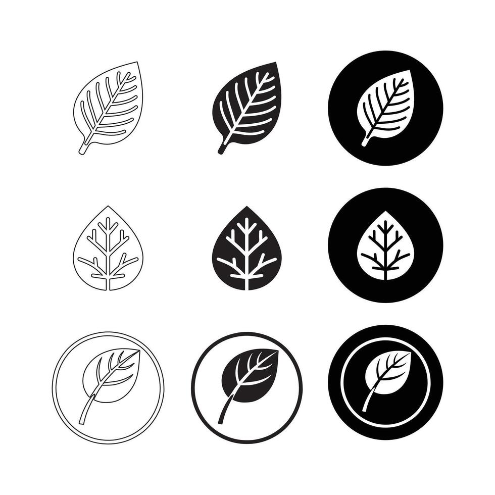 Set of Simple Leaf Icons in Black vector