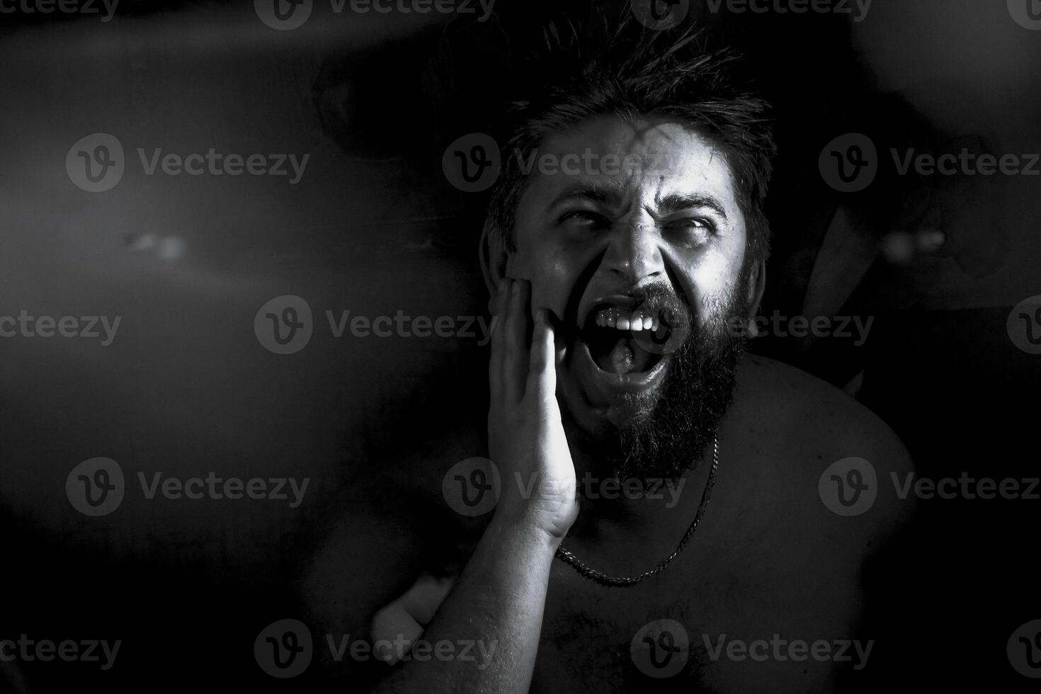 the man screams photo