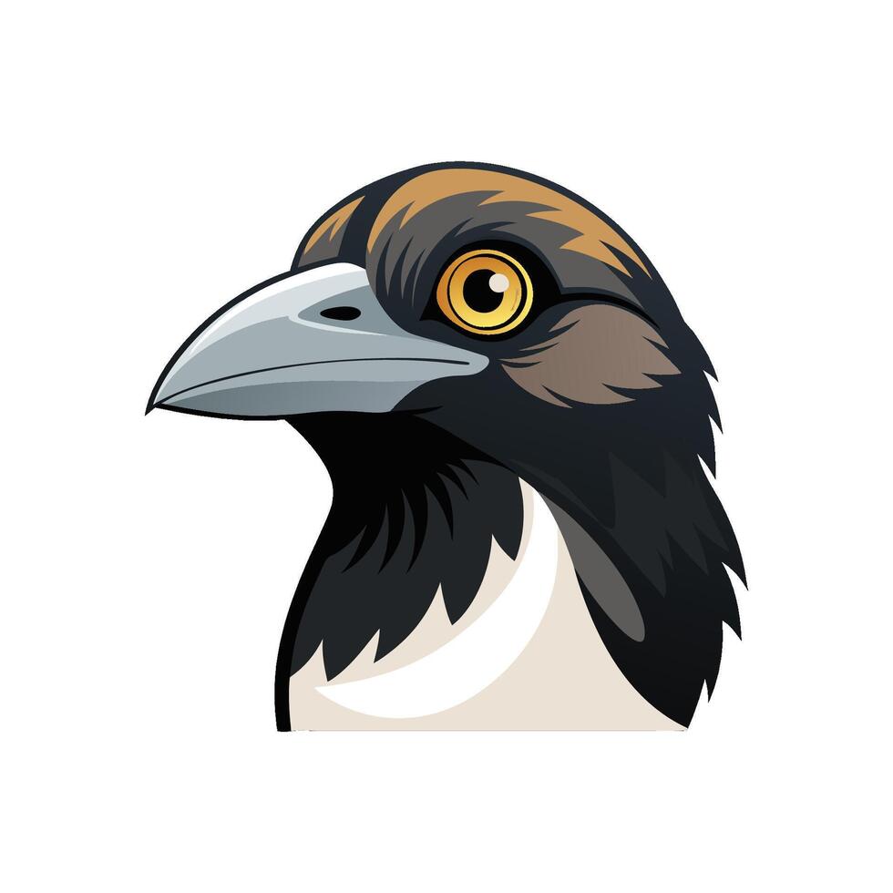 A bird head with a big yellow eye vector