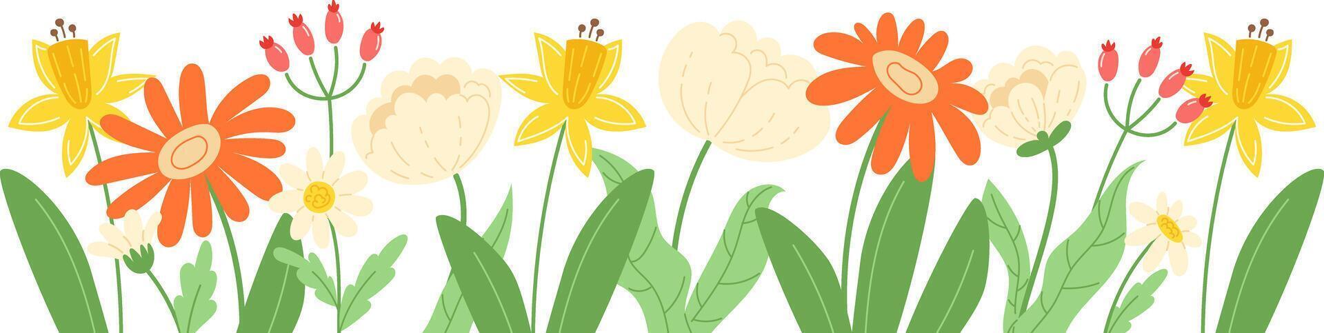 Floral border with yellow, white, and orange wildflowers. Botanical decoration with spring and summer flowers on a green meadow. Flat-style illustration isolated on a white background vector