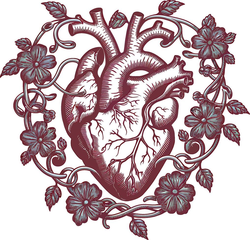 anatomical heart with flowers and vines vector