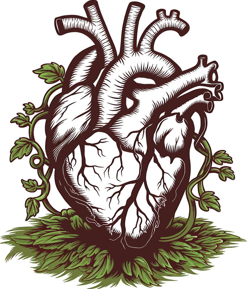 ancient human heart with vines and leaves illustration vector