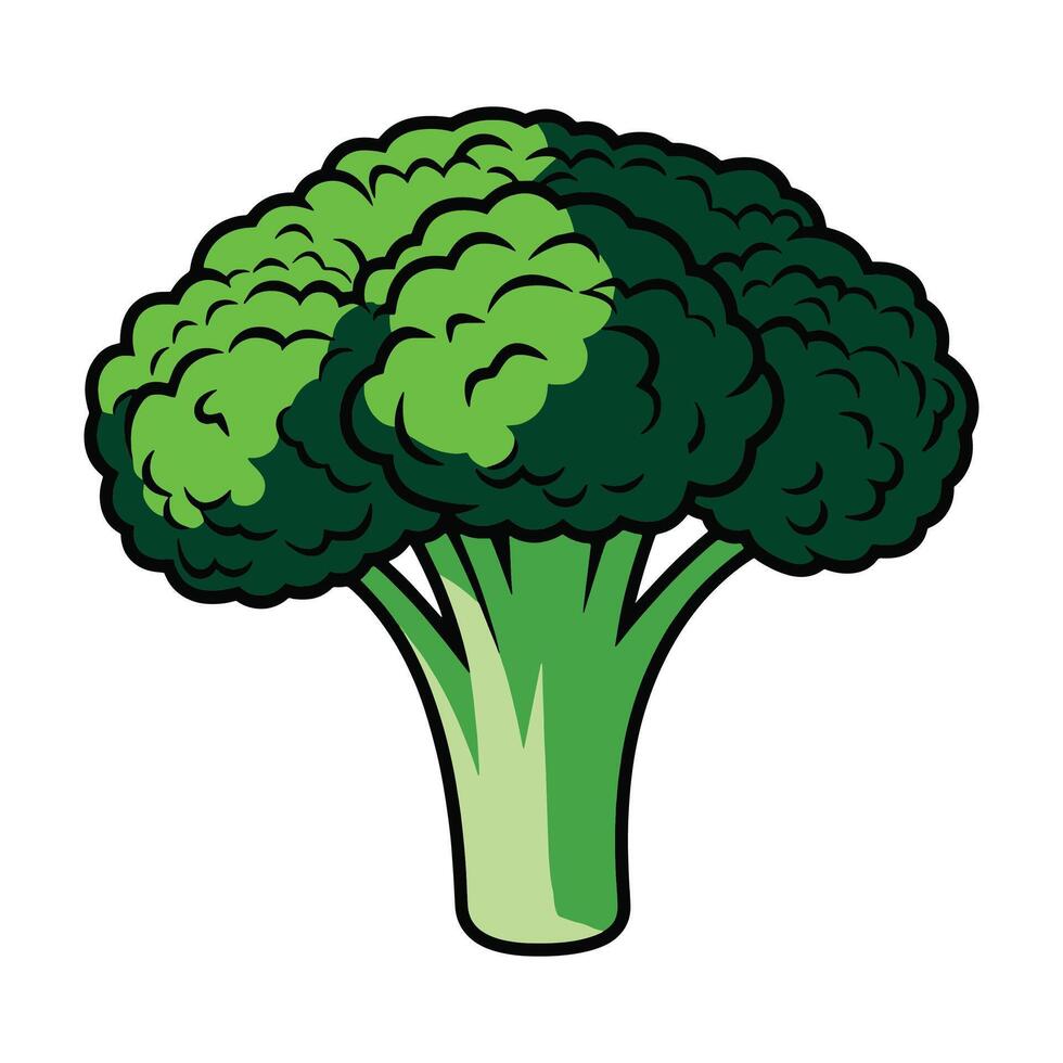 Fresh broccoli vegetable icon. Nature-inspired design symbolizing healthy food. Flat illustration, ideal for packaging, menus, or eco friendly concepts vector