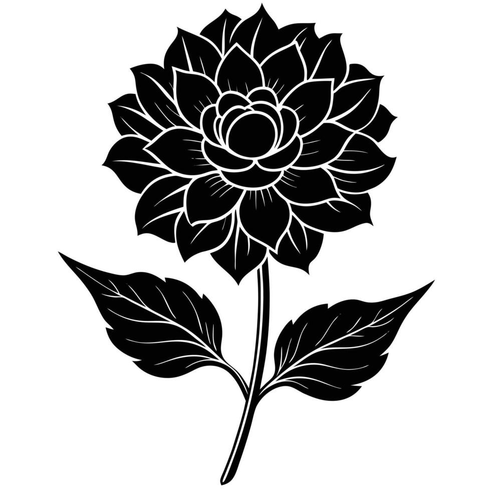 Floral Artwork black Ink Rose Drawing vector