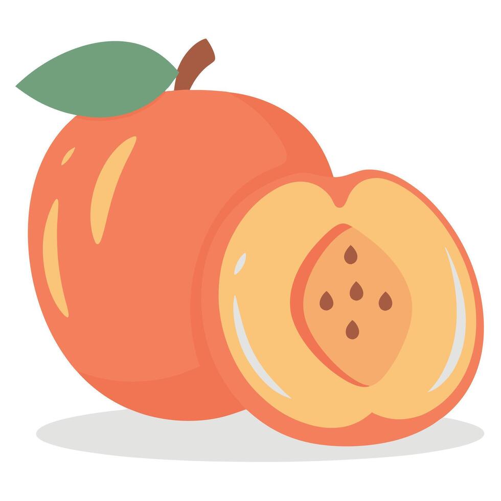 Fresh Peach Fruit Illustration Juicy Summer Fruit Whole and Sliced Peach Design vector