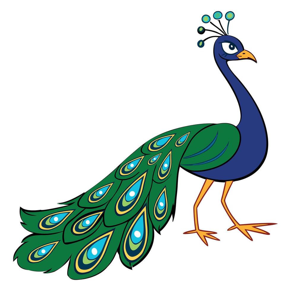 Cartoon peacock design art vector