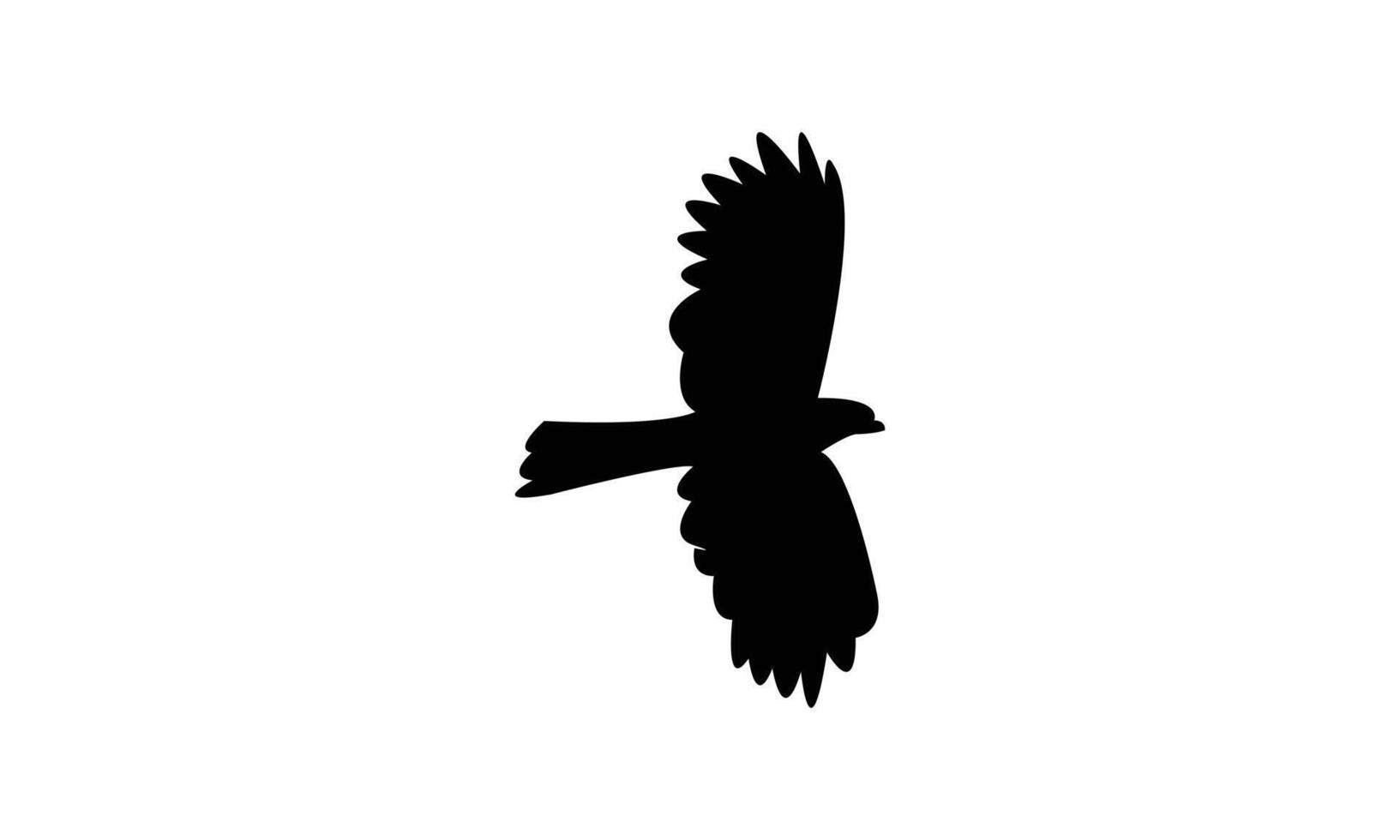 Flying African cuckoo hawk black Silhouette vector