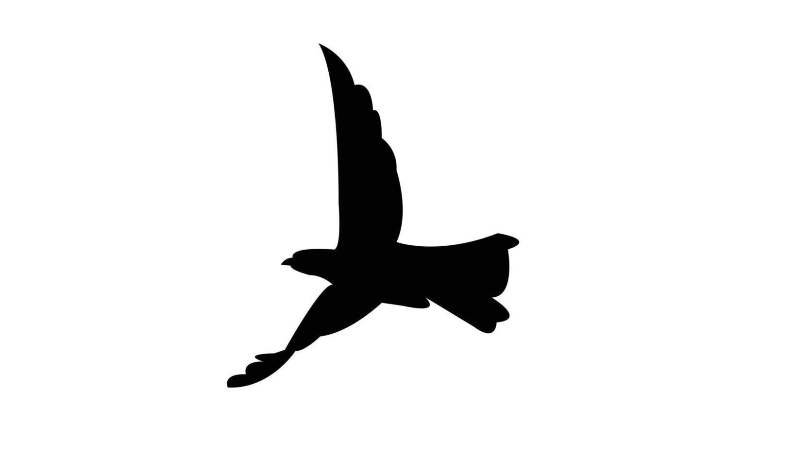 Flying African cuckoo bird Silhouette Design And Illustration. vector