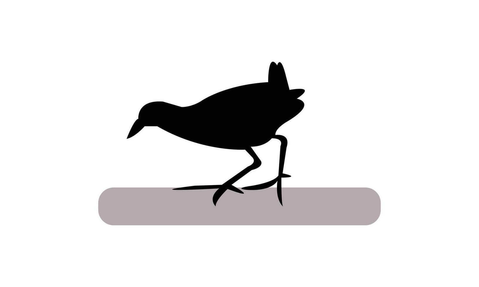 African crake bird Black Silhouette vector