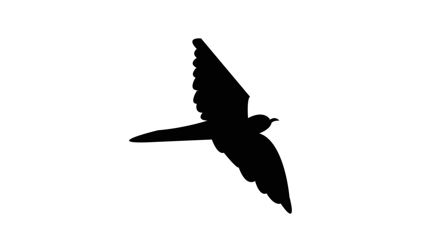 Flying African cuckoo bird black Silhouette Design And Illustration. vector