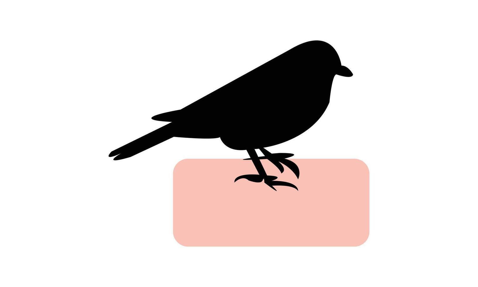 African citril bird Silhouette Design And Illustration. vector