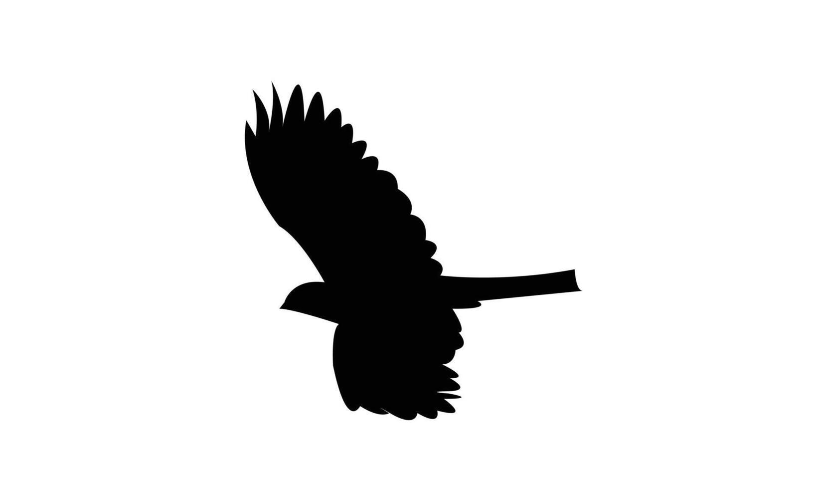 Flying African cuckoo hawk black Silhouette Design And Illustration. vector