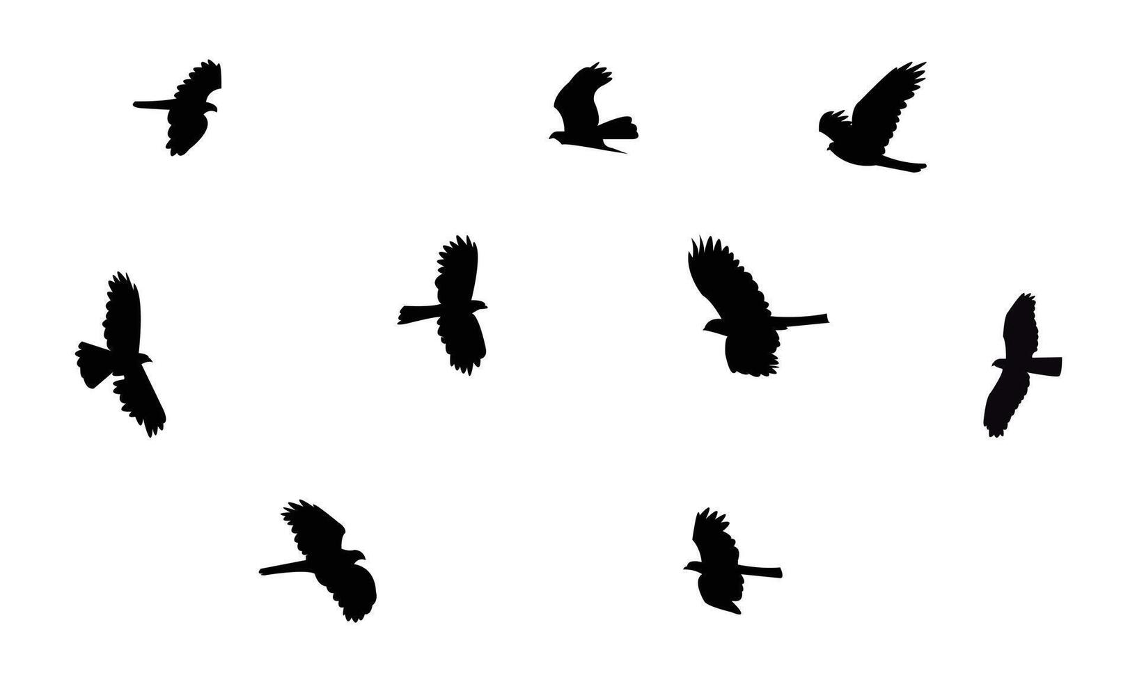 Flying African cuckoo hawk bird Silhouette Collection vector
