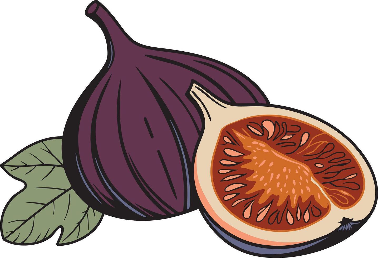 The Sweetness of Figs vector