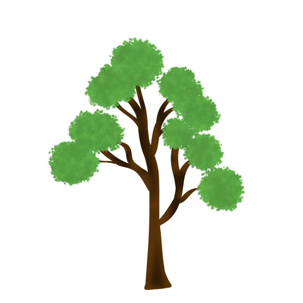 illustration tree, green color png