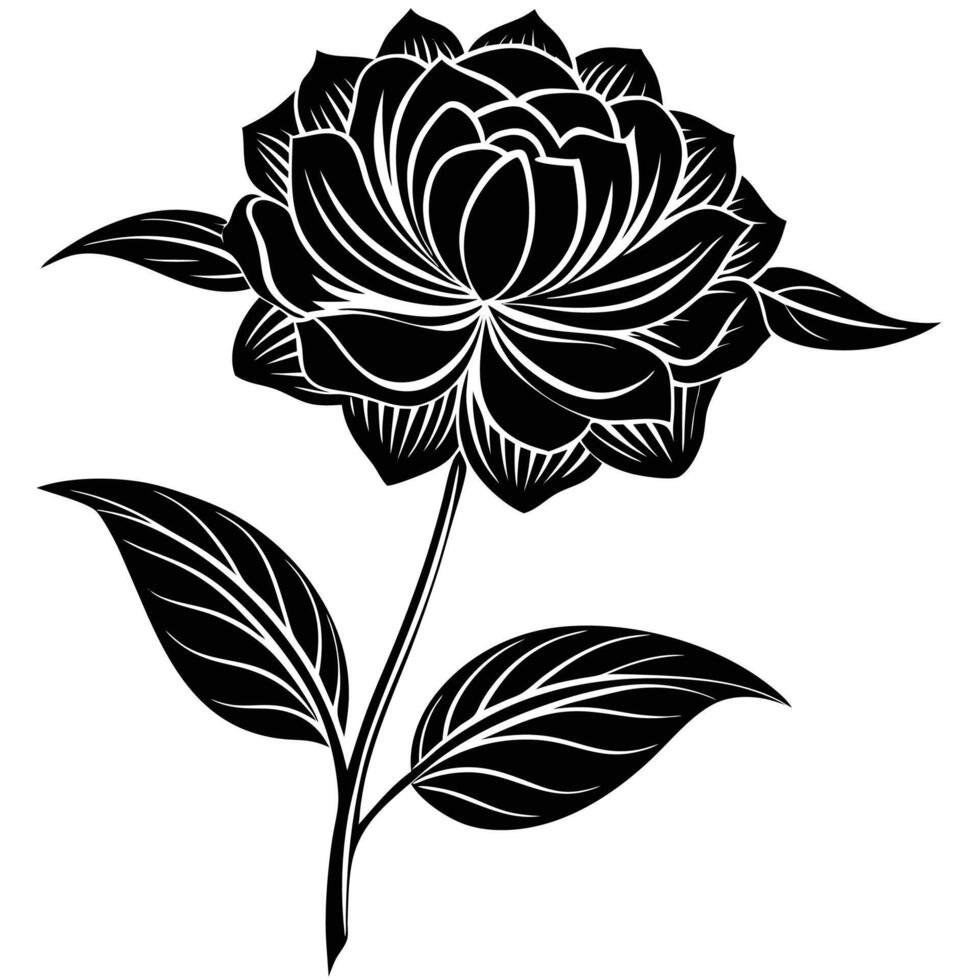 sleek asymmetrical petals with-a-long-stem vector
