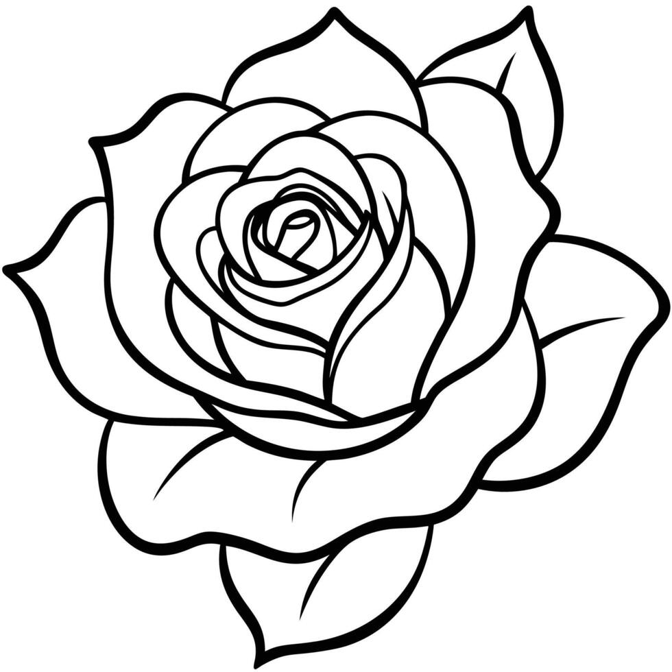 rose elegant great for design vector