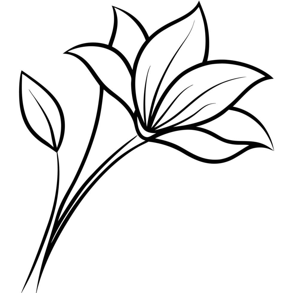 asymmetrical petals with-a-long-stem vector
