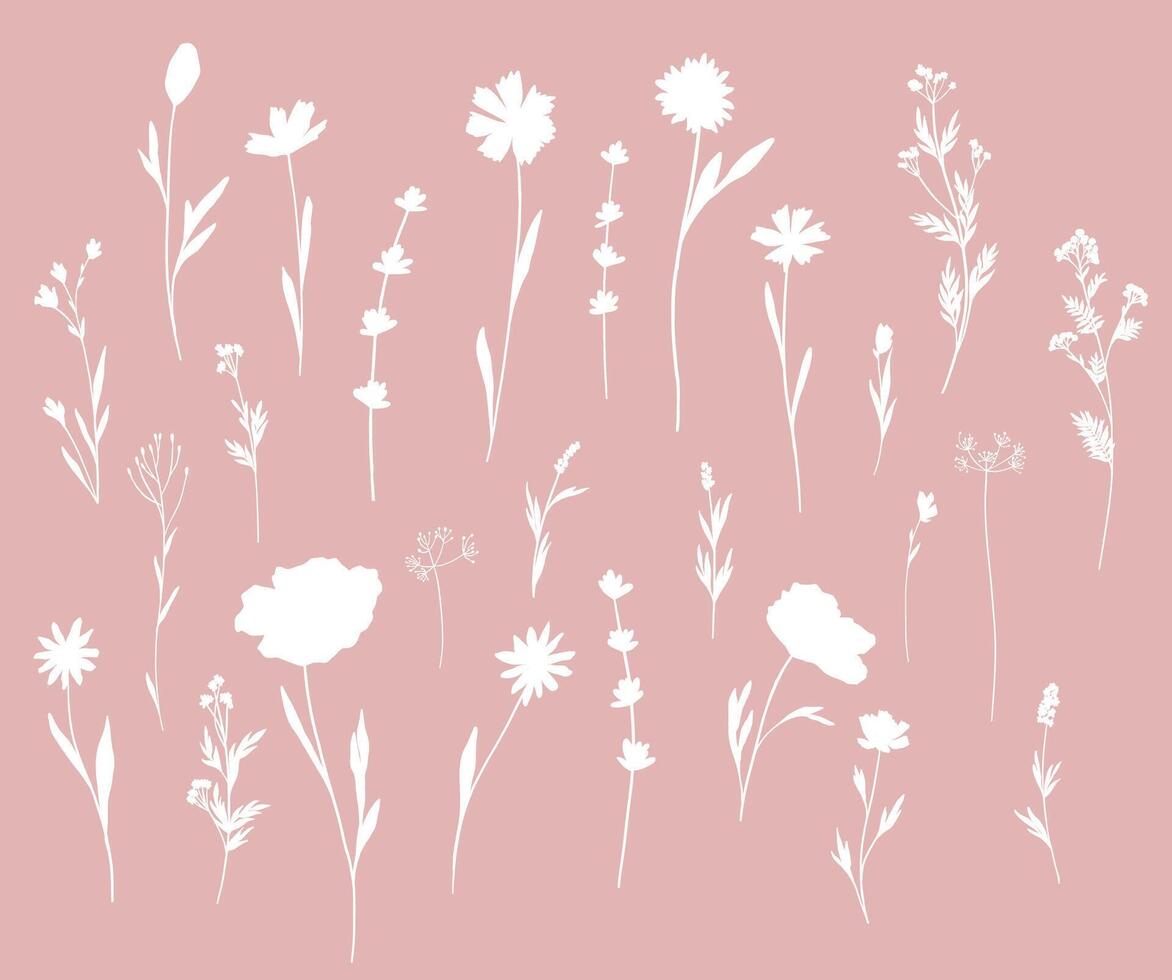 Horizontal seamless set blooming flowers and leaves silhouette. Spring floral backdrop. Line illustration botanical design field wild flowers. Camomile, bluebells, poppy, medicine herbs vector