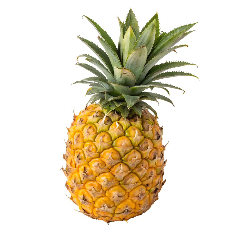 Pineapple on transparent background png