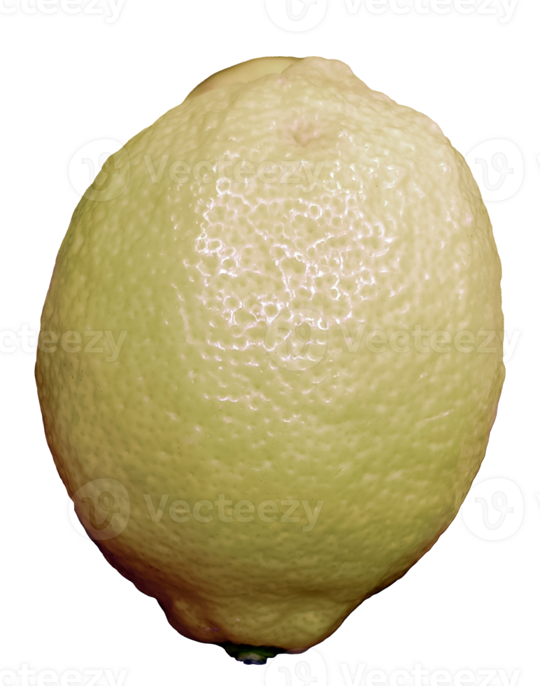 isolate lemon without background png