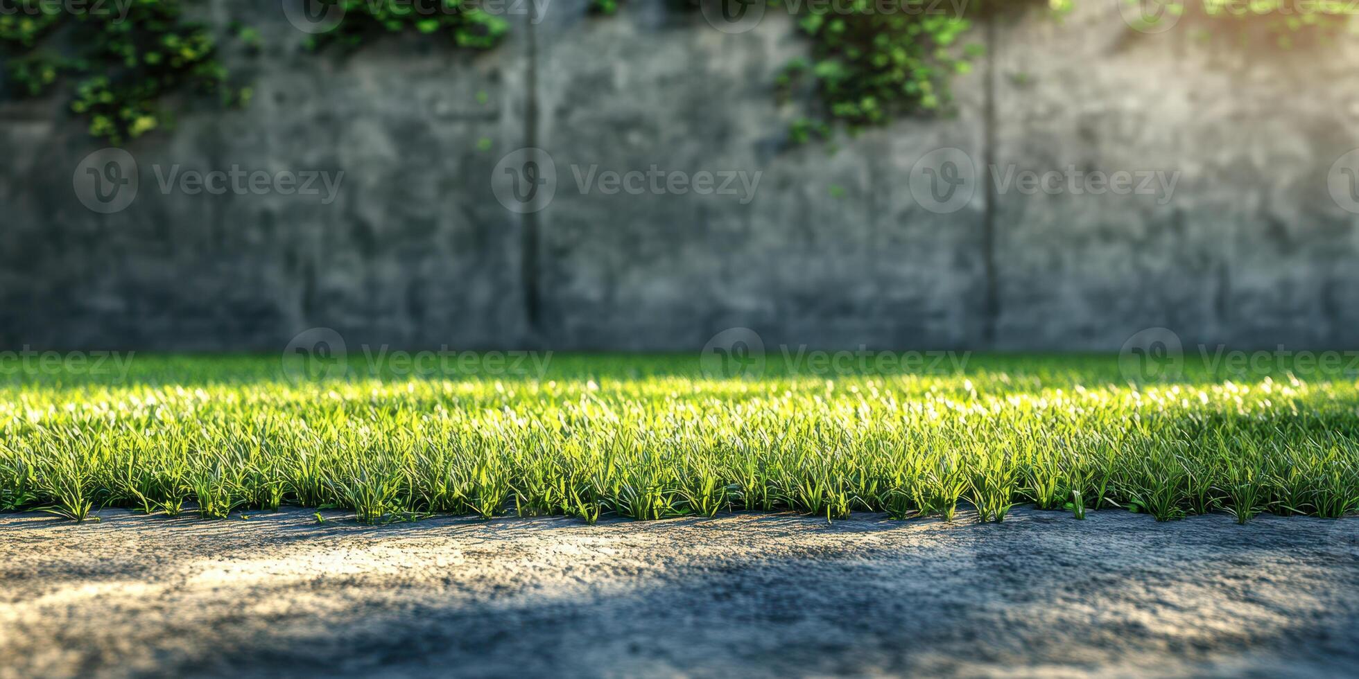 Lush green grass growing vibrantly on a concrete surface in a garden setting during late afternoon sunlight photo