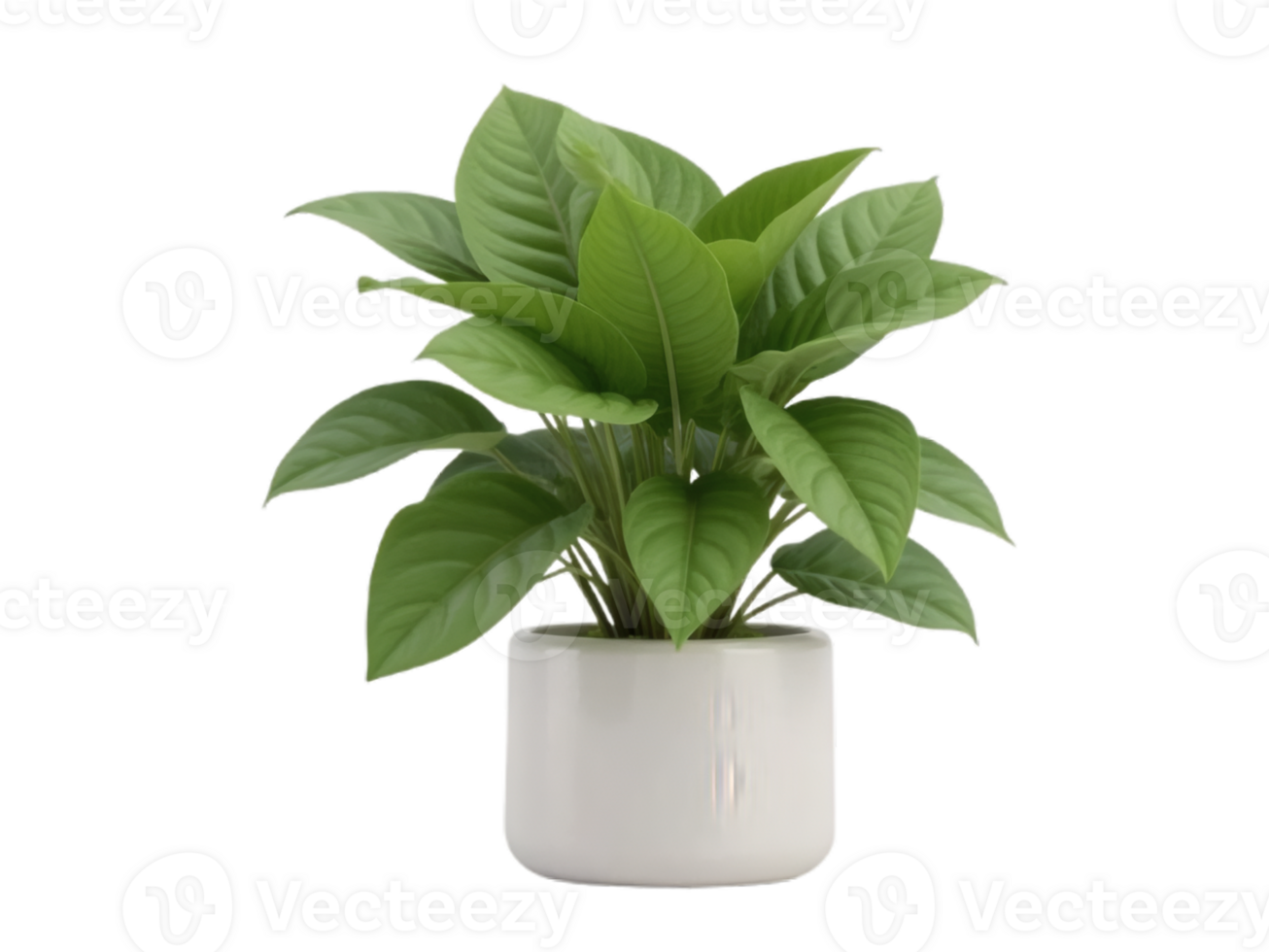 Green Houseplant in Modern Ceramic Pot Isolated on Transparent Background png