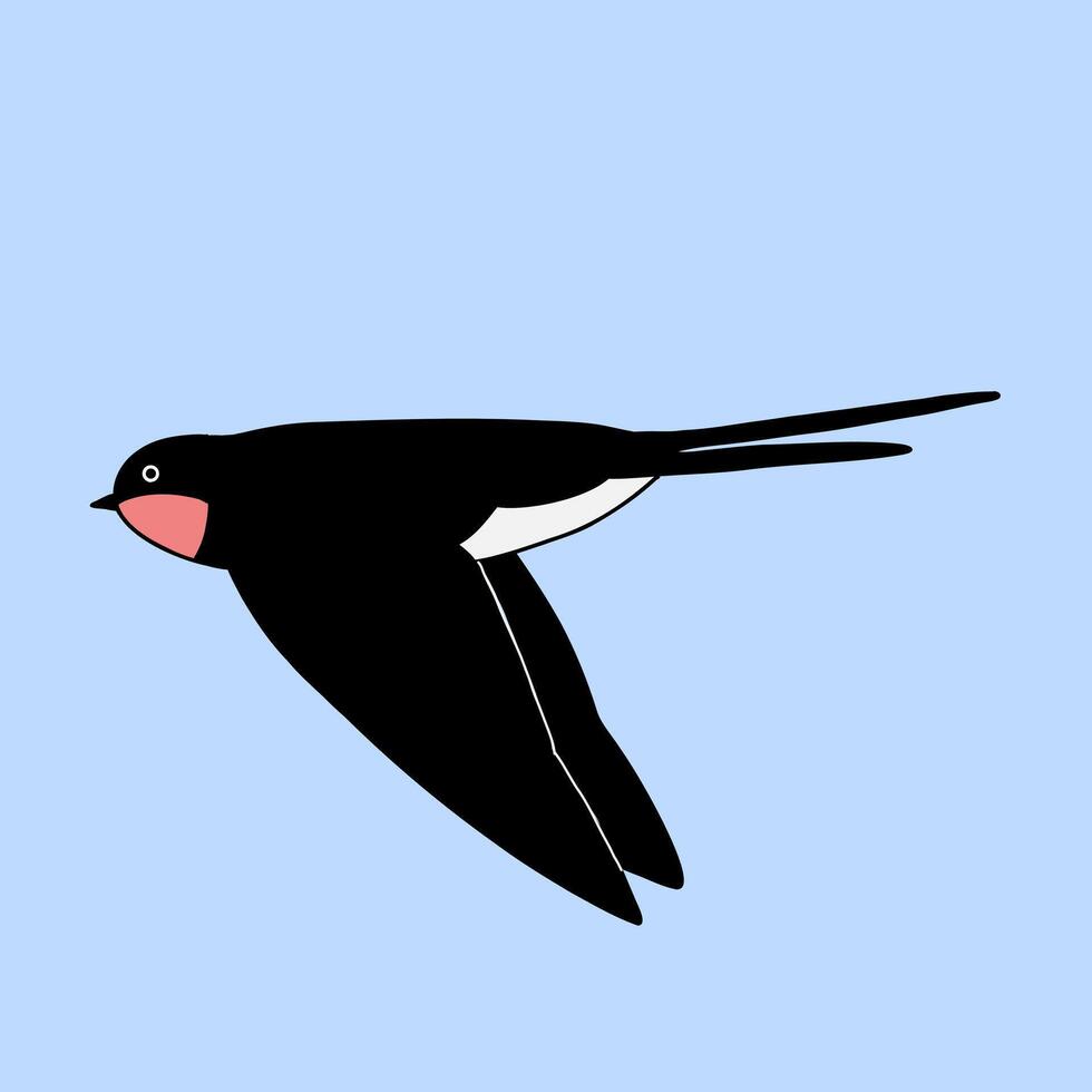 Swallow isolated on a blue background. Cartoon flat illustration. vector