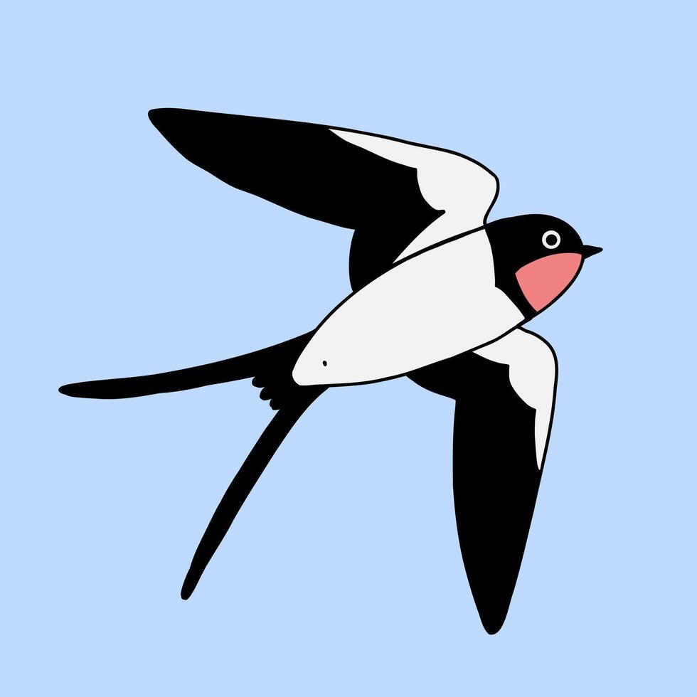 Bird swallow flying in blue sky, bottom view. Cartoon simple flat illustration. vector