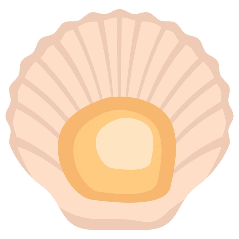 Illustration of a Scallop Shell vector