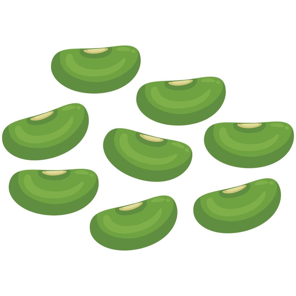 Illustration of Mung bean vector