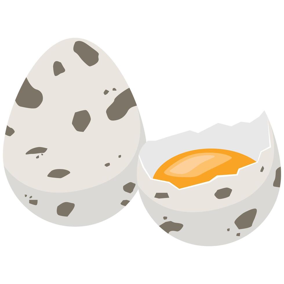 Illustration of Quail Eggs and Yolk vector