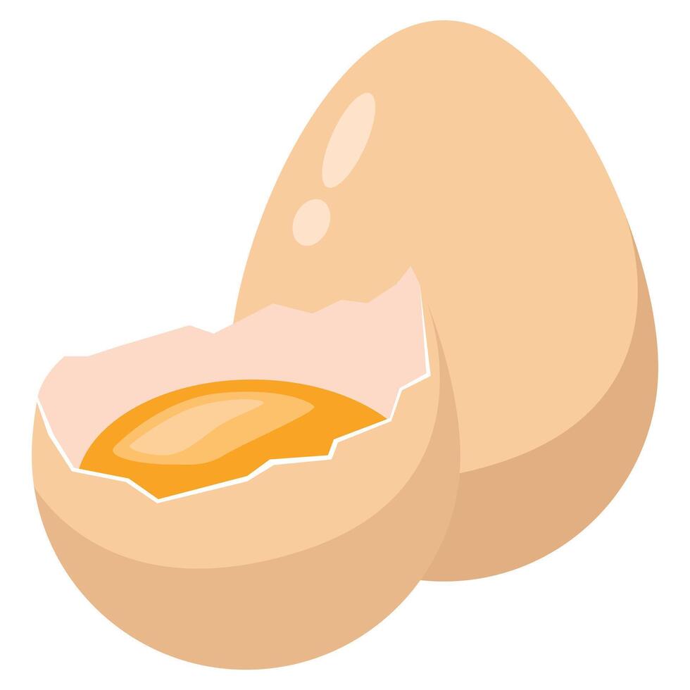 Illustration of Cracked Egg with Yolk vector