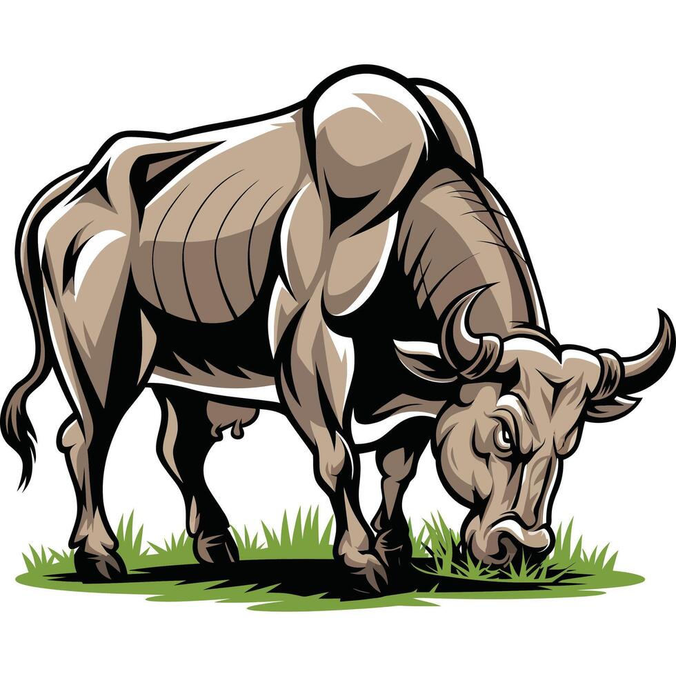 Bull grazing on grass vector