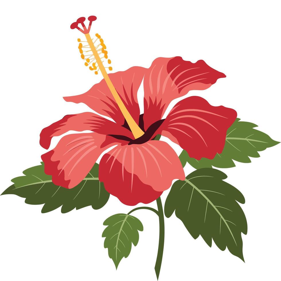 Clean and Crisp Hibiscus Illustration. vector
