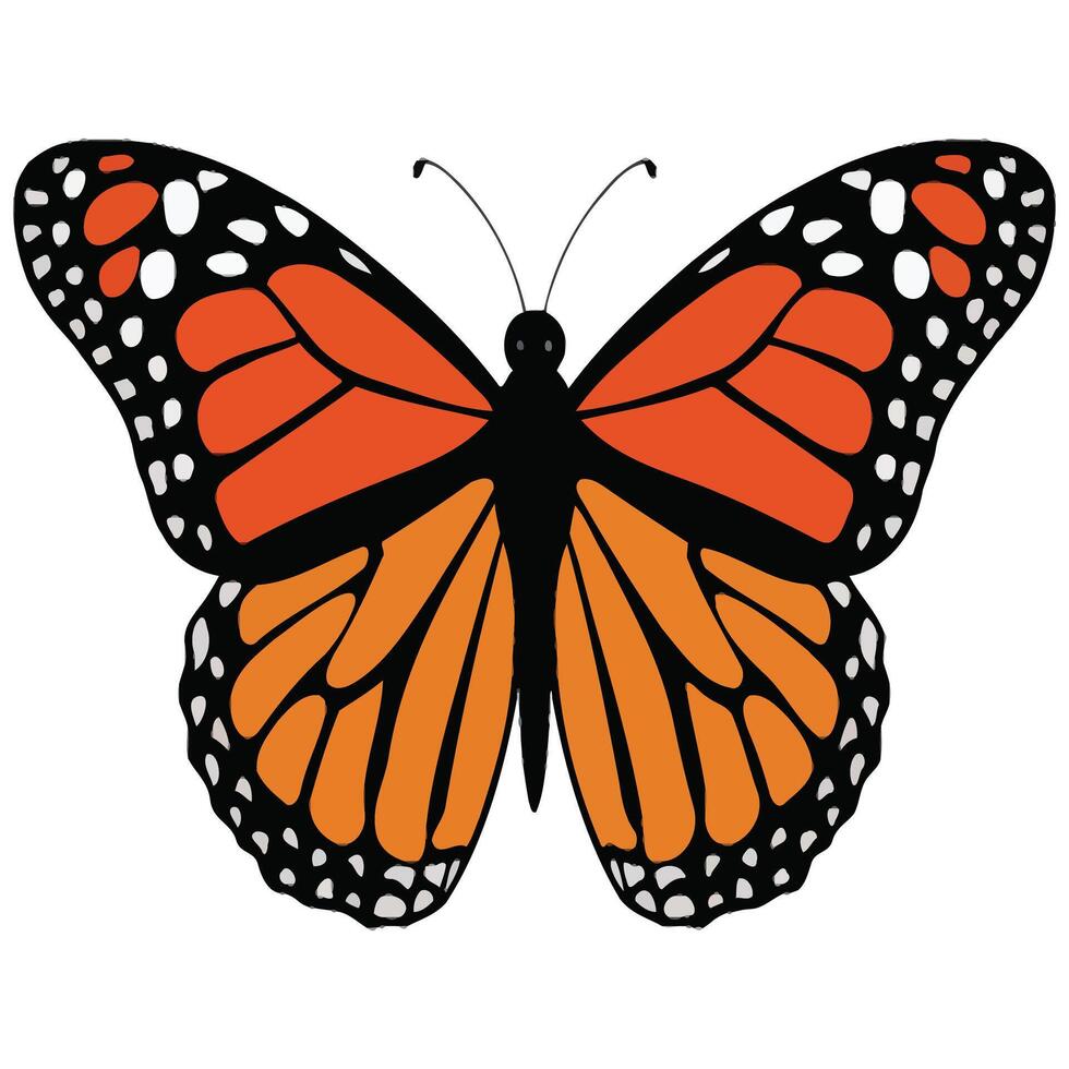 Monarch butterfly clipart vector