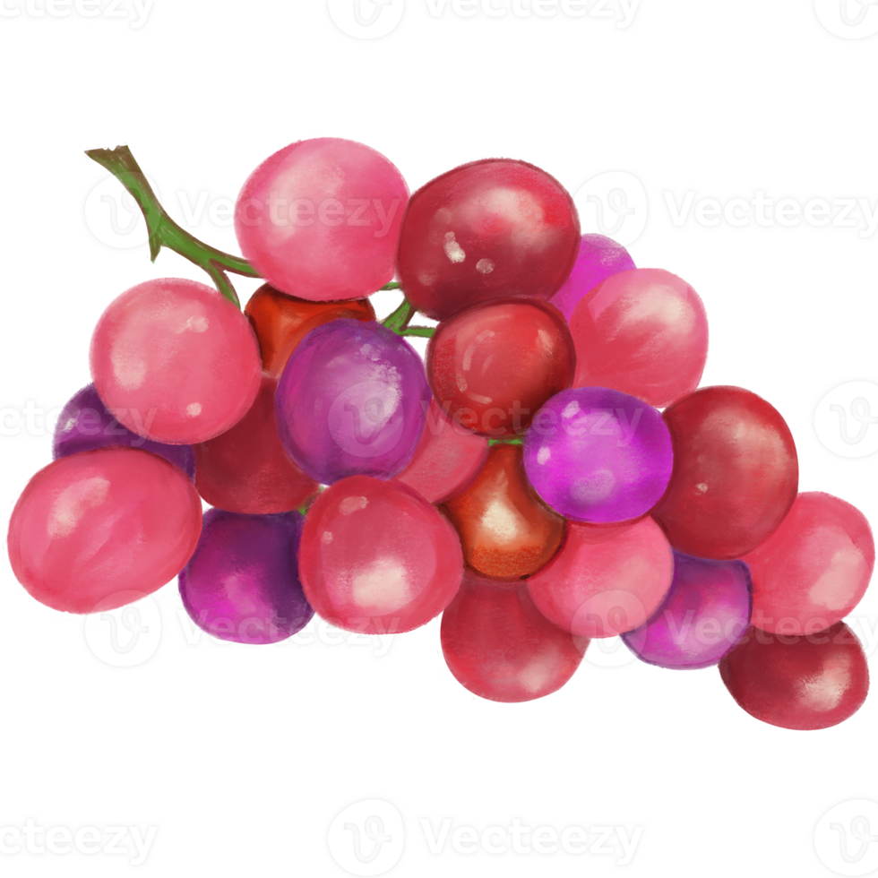 Pink grape very fresh illustration png