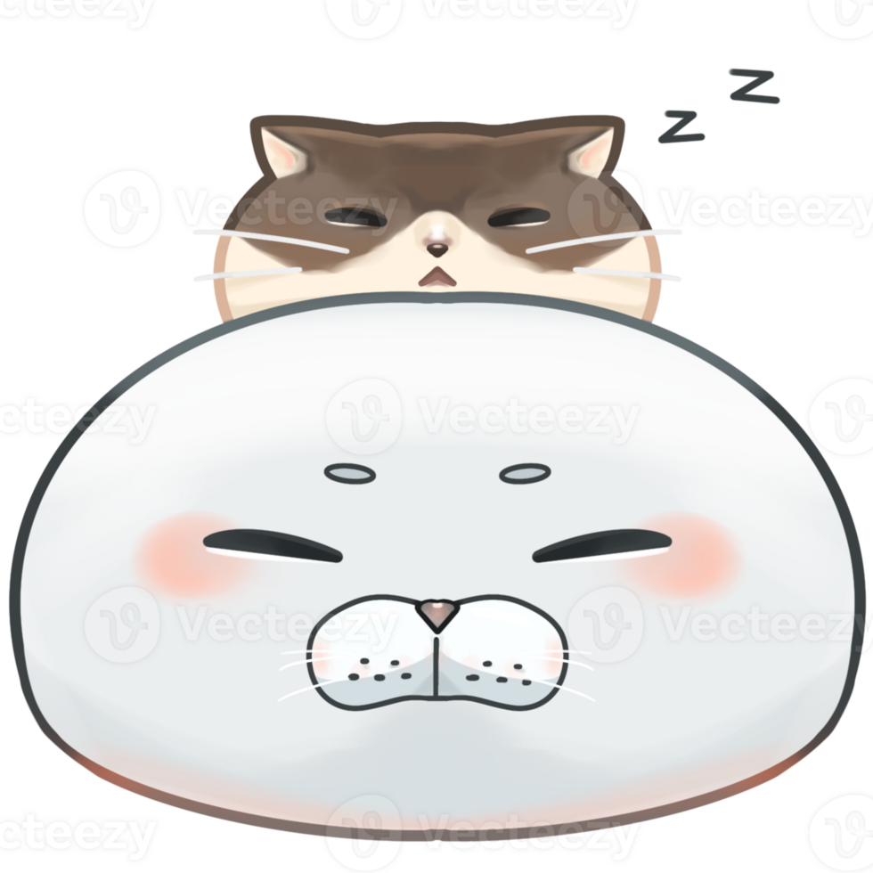 a cat sleep on a seal so cute png