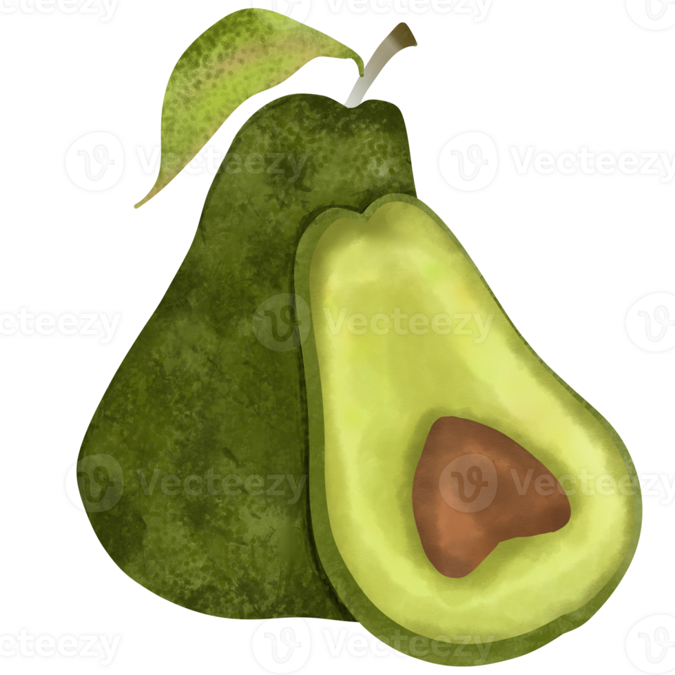 Avocado in garden for you png