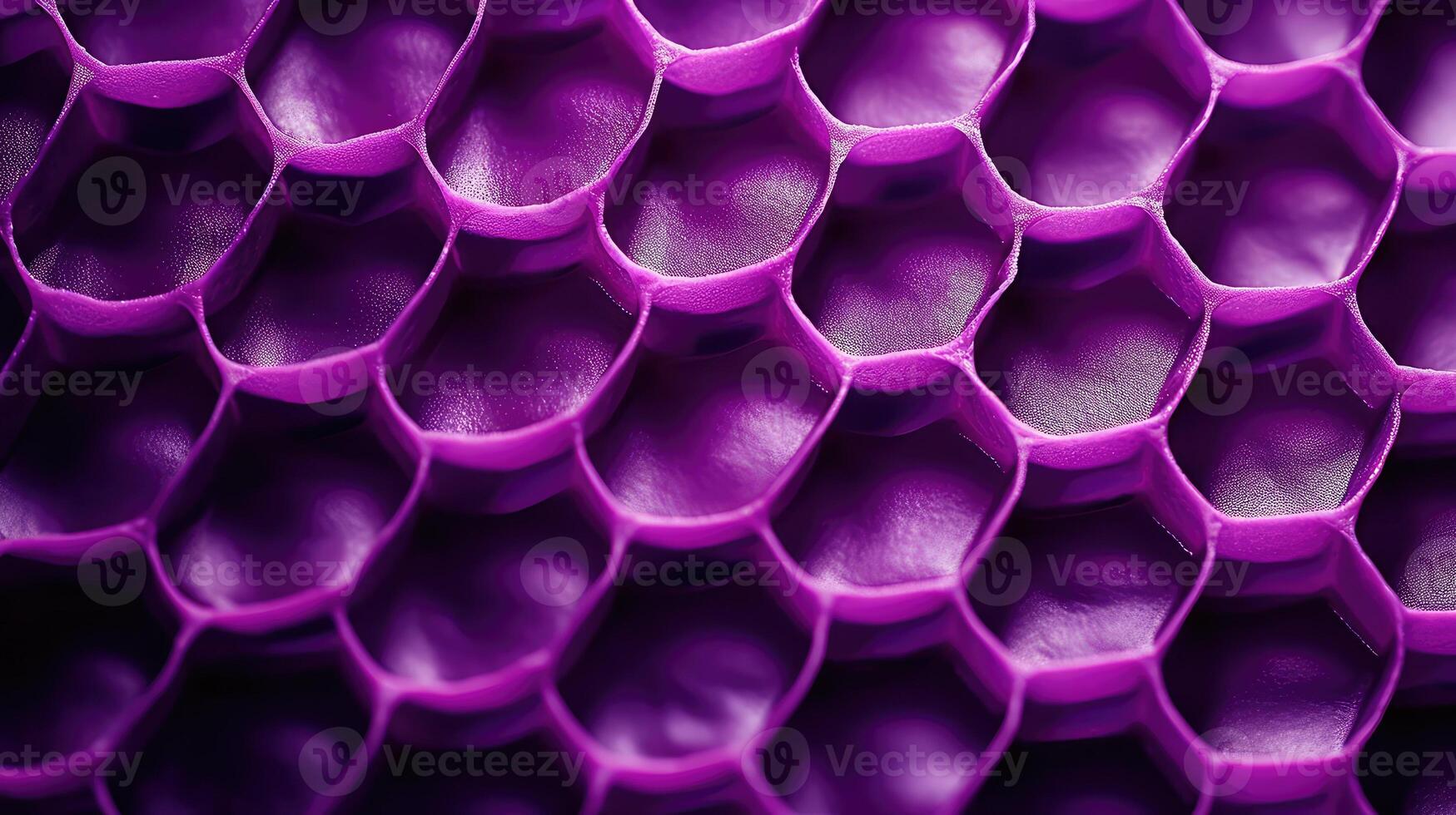 close purple honeycomb photo