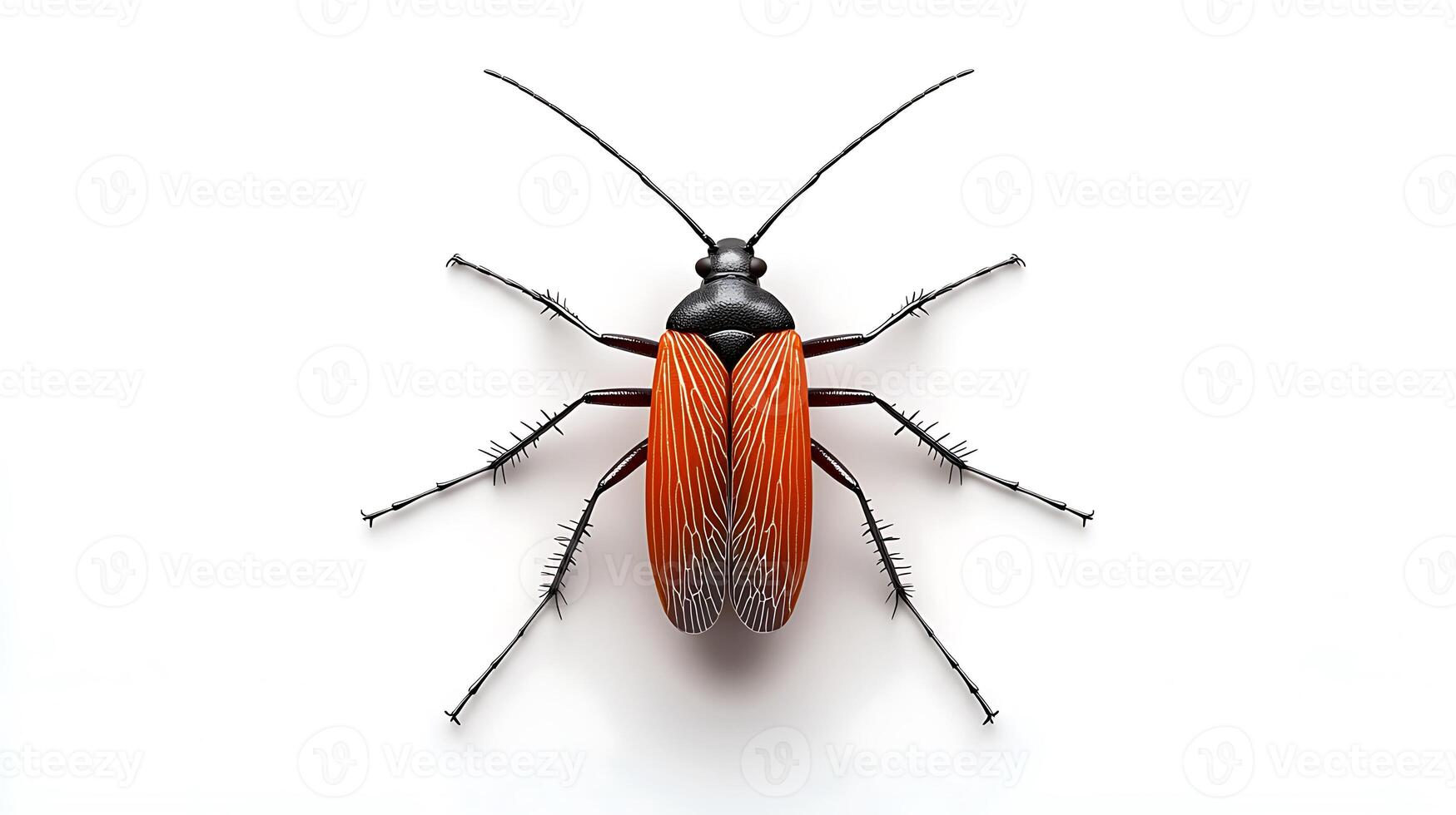 Close-up view of a vibrant insect with detailed features against a plain background photo