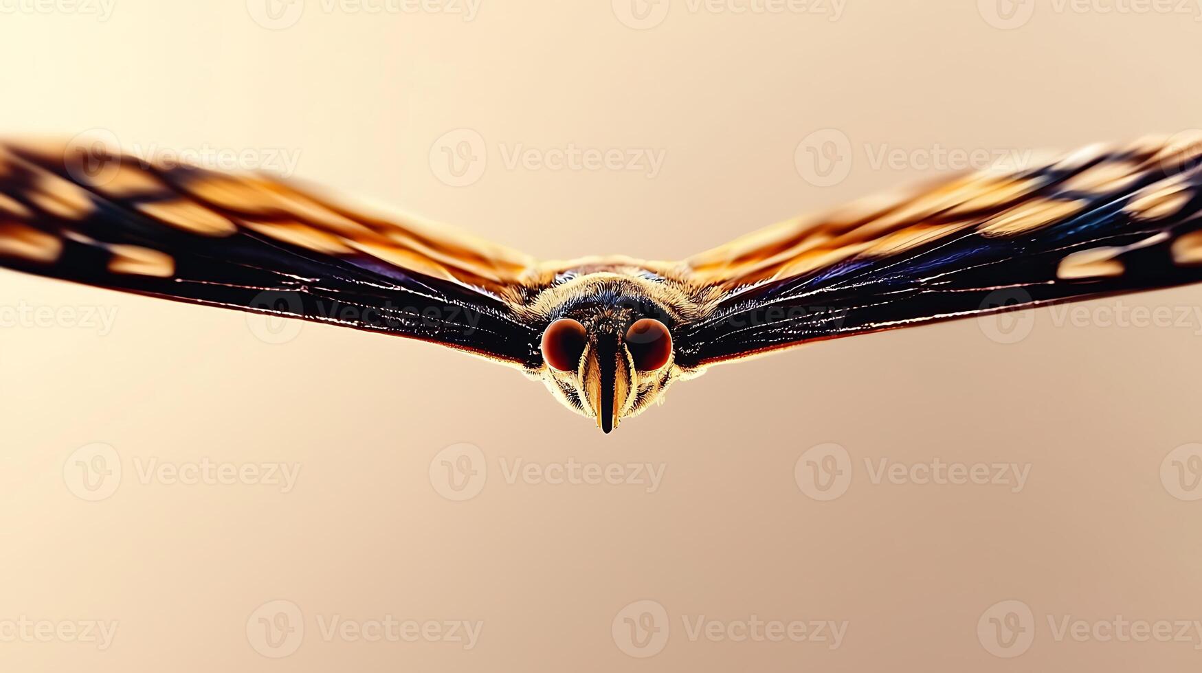 Close-up view of a vibrant insect in flight against a soft gradient background photo