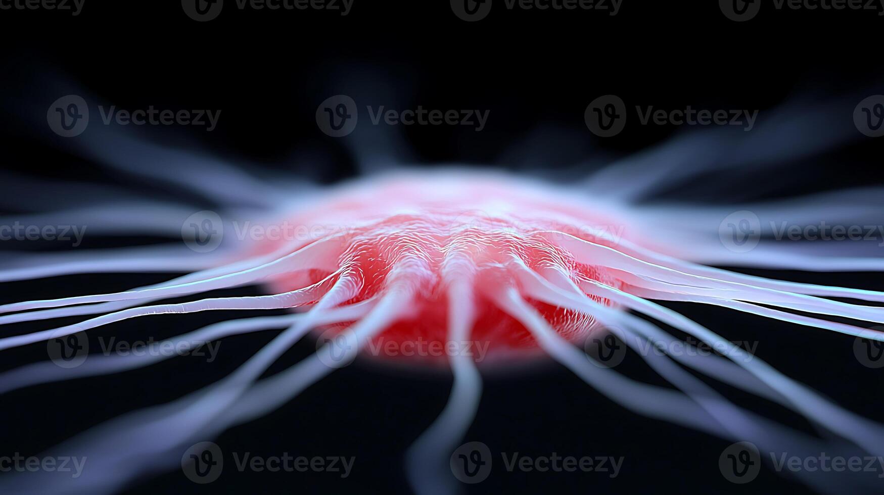 Close-up view of a vibrant jellyfish with flowing tentacles against a dark background photo