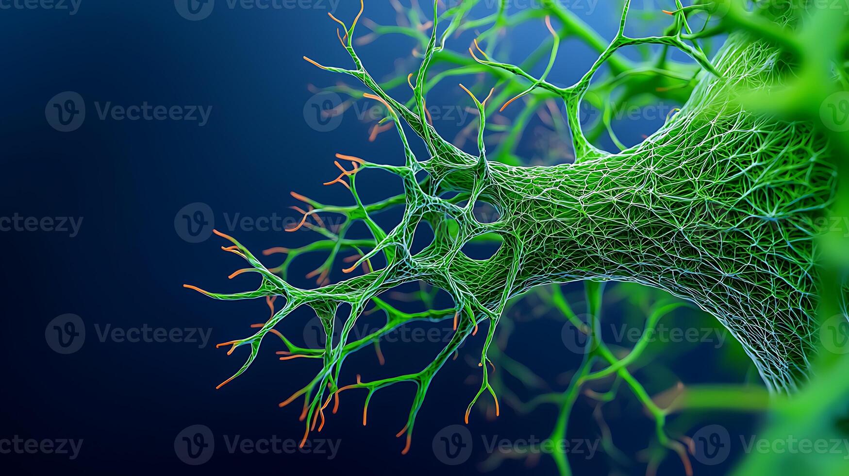 Close-up view of a vibrant green neuron structure against a dark blue background, illustrating neural connections photo